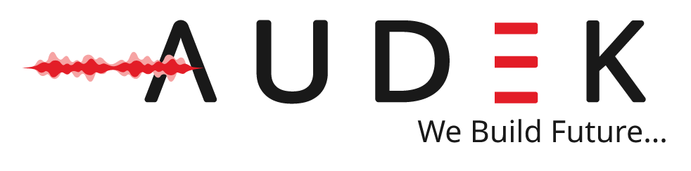 Audek India Logo